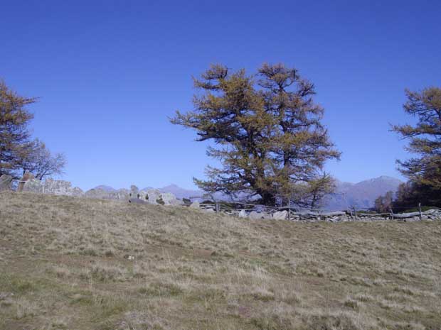 alpe
