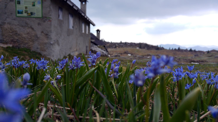 alpe paglio
