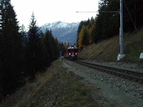 IMGP0440