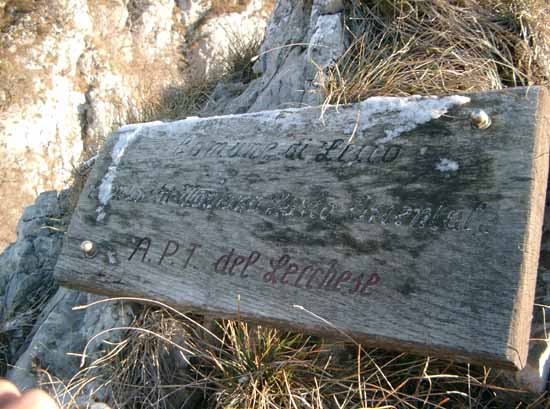 IMGP0526