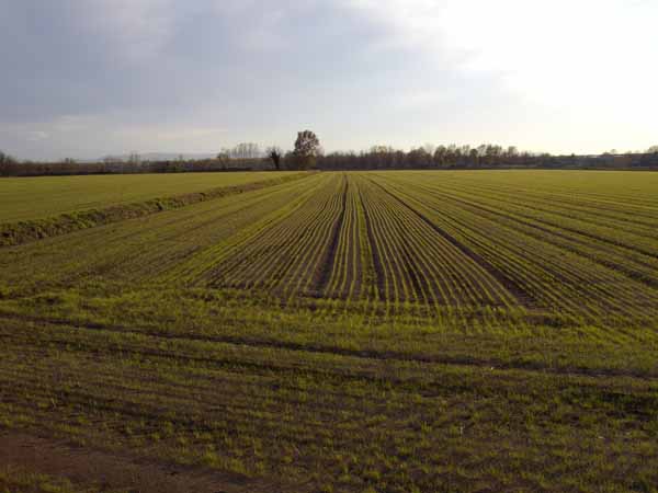 IMGP0662