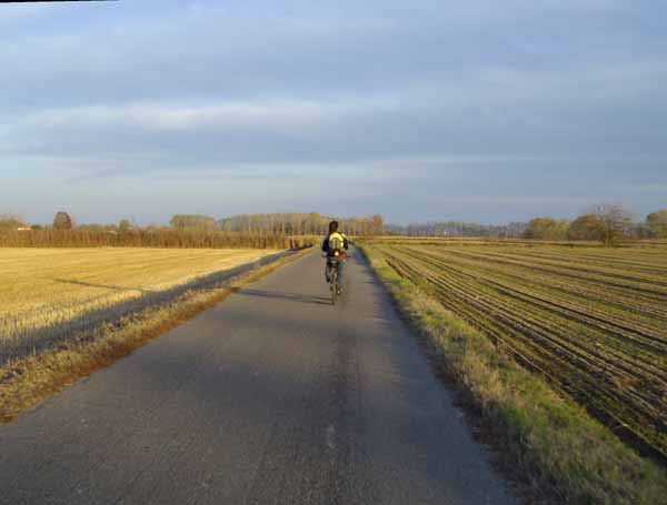 IMGP0666