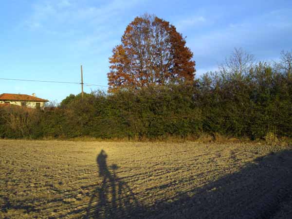 IMGP0682