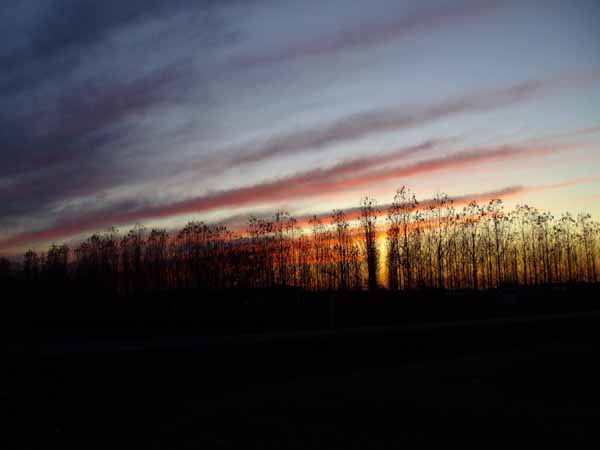IMGP0698