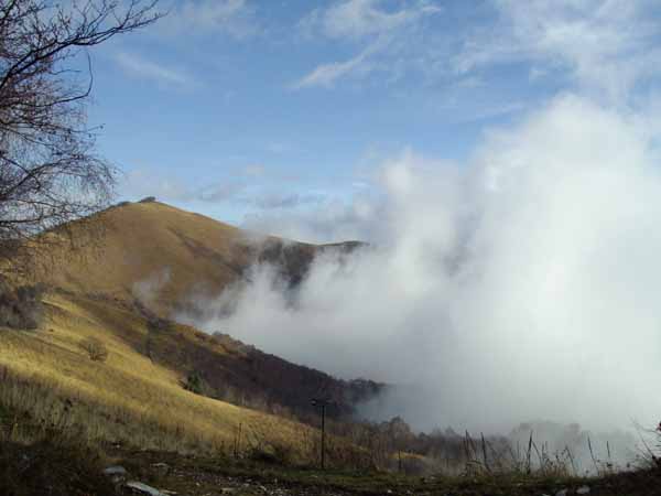 IMGP0801