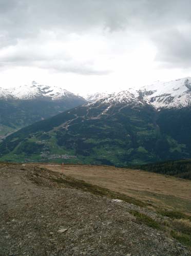 IMGP1323
