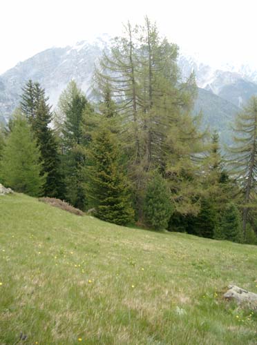 IMGP1336