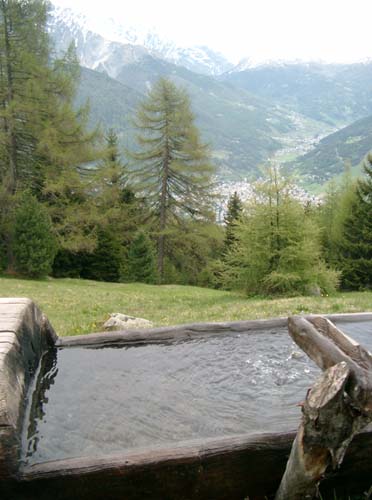 IMGP1337