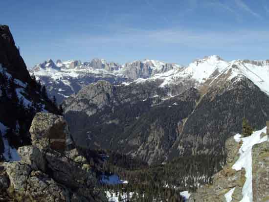 IMGP2187