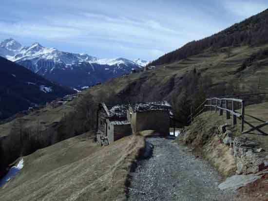 IMGP2263