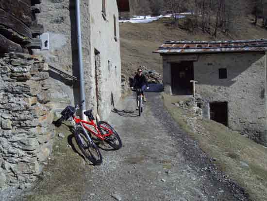 IMGP2264