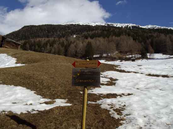 IMGP2268
