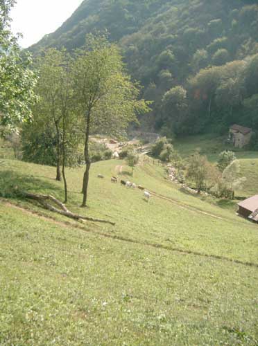 IMGP2825