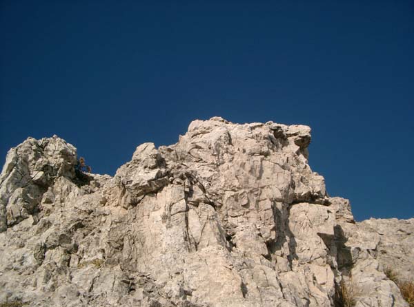 IMGP3442