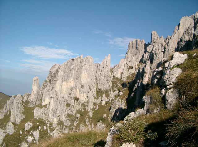 IMGP8318