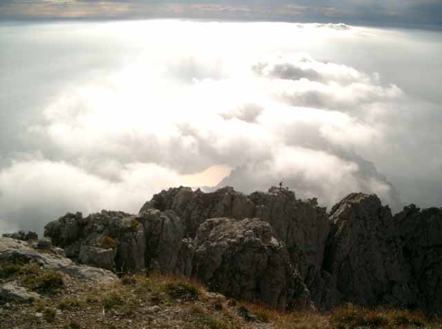 IMGP8419