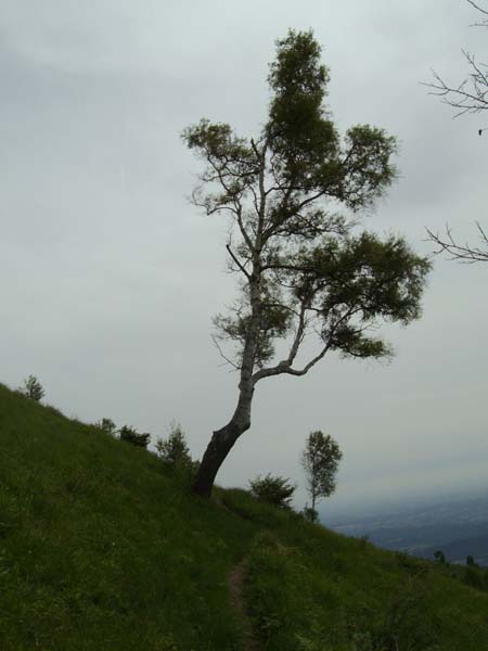 IMGP3564