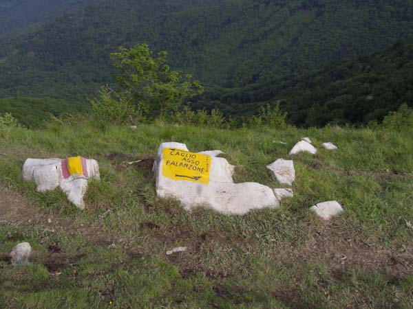 IMGP3574