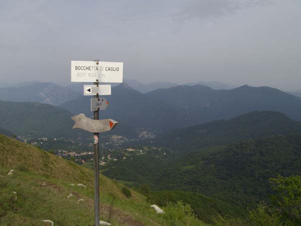 IMGP3575