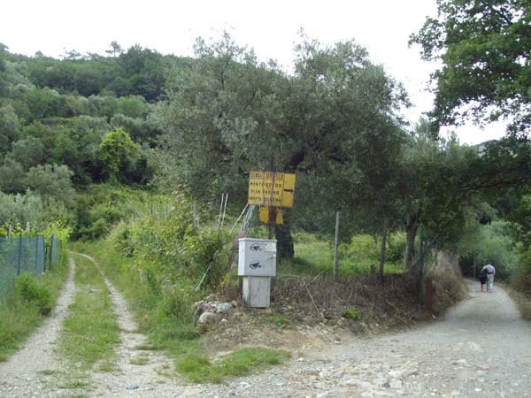 IMGP3649