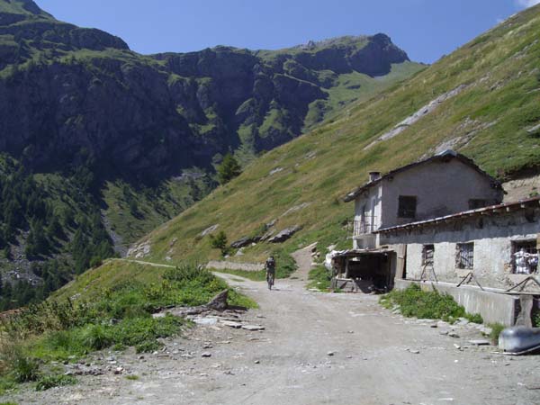 IMGP4431
