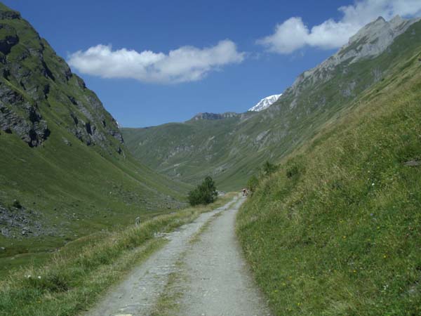 IMGP4432