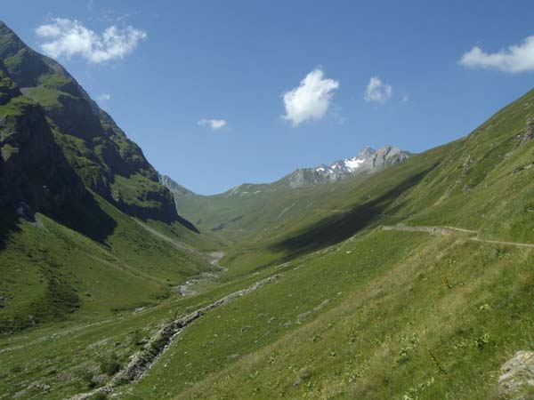 IMGP4435