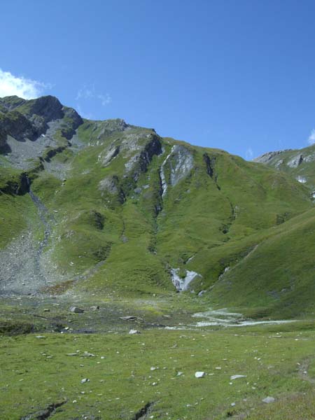 IMGP4584