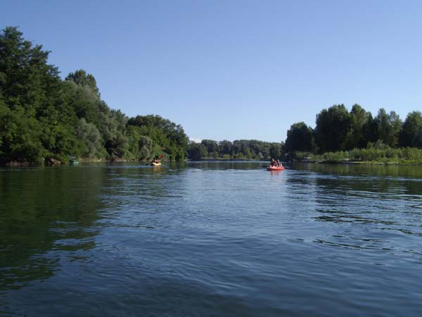 IMGP4664