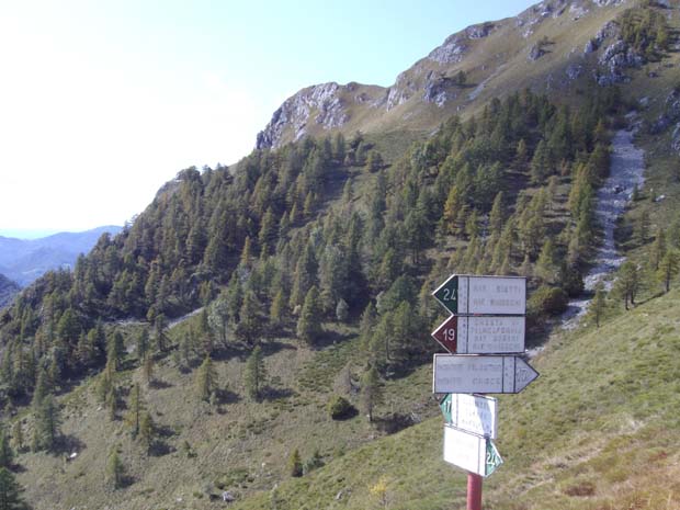 IMGP4794