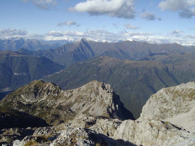 monte