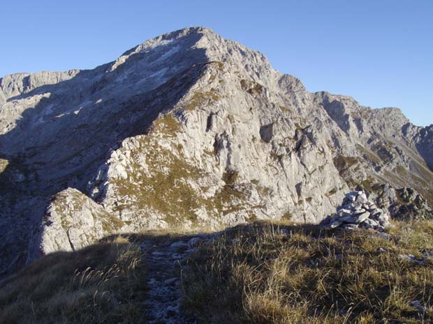 Monte
