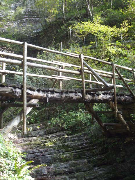 ponte