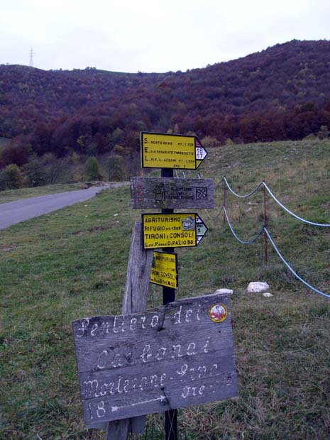 IMGP5068