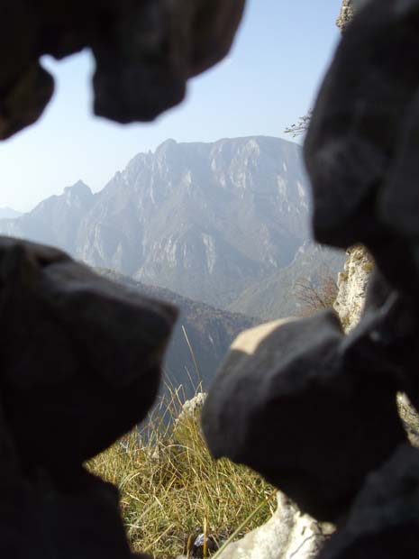 Monte