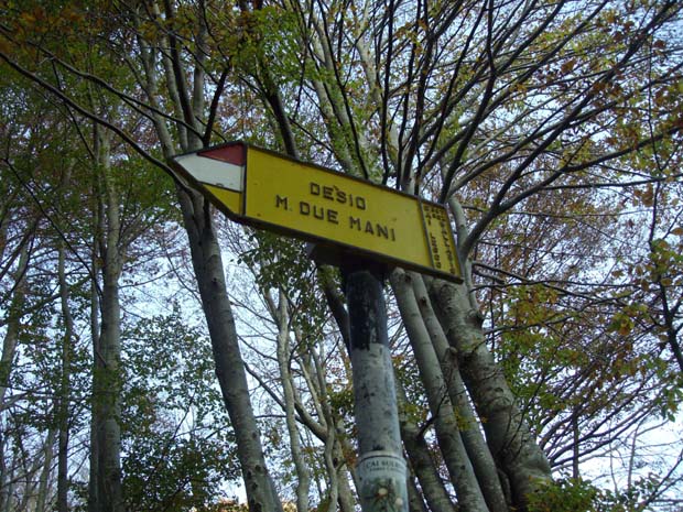 IMGP5135