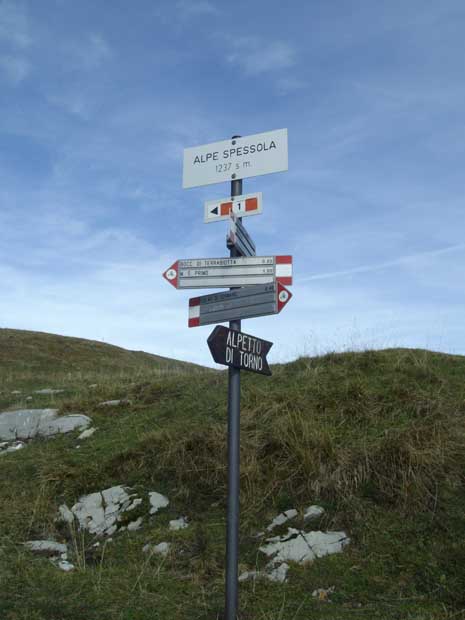alpe