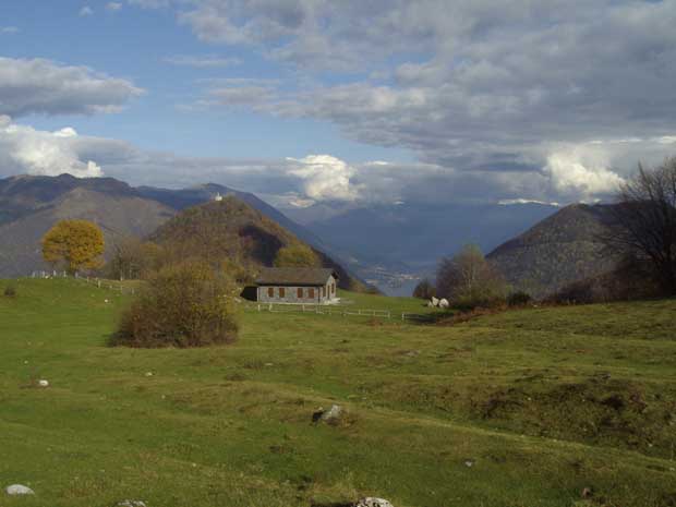 IMGP5527