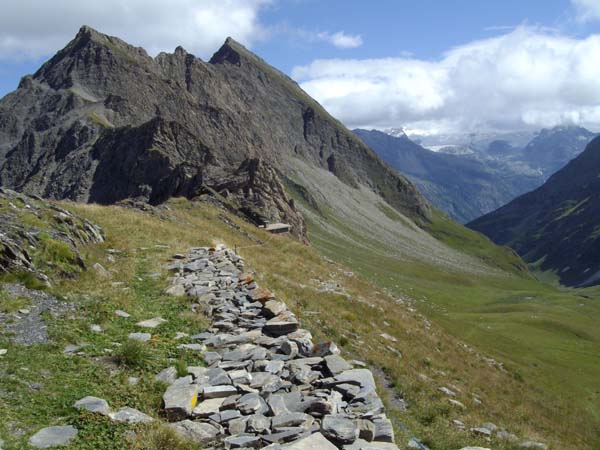 colle_arp
