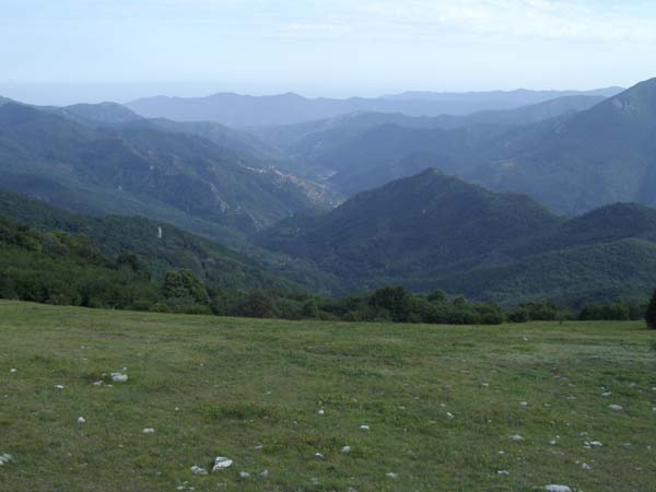 monte_lingo
