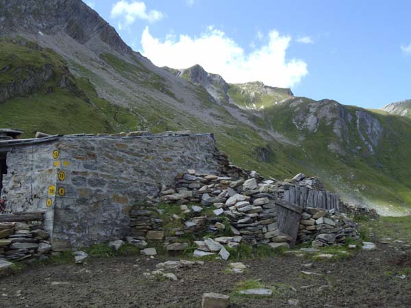 reggiani
