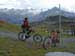 les_suches