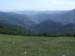 monte_lingo