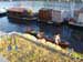 sbarco_pavia