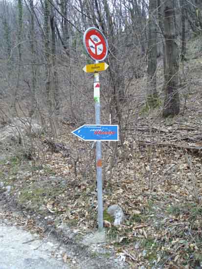 IMGP2347