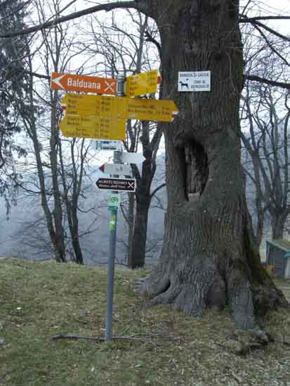 IMGP2354