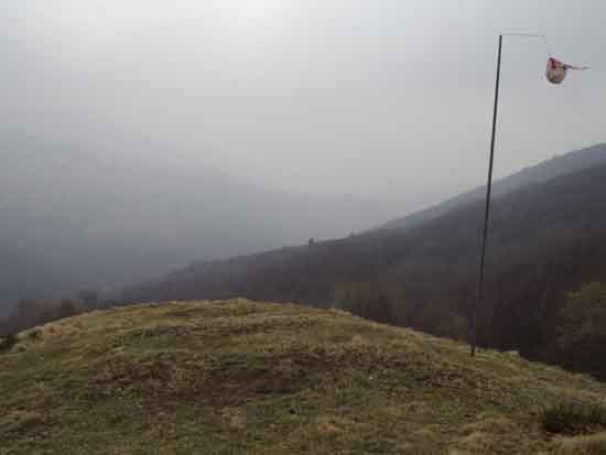 IMGP2358