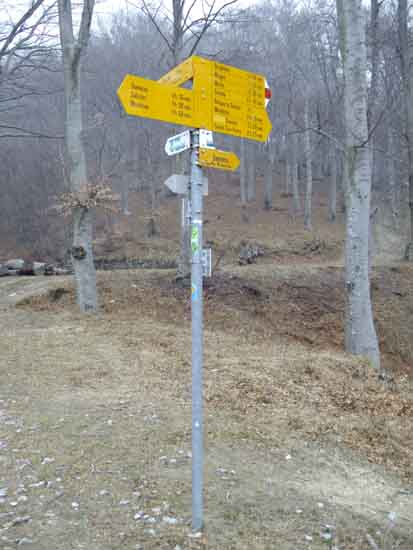 IMGP2363