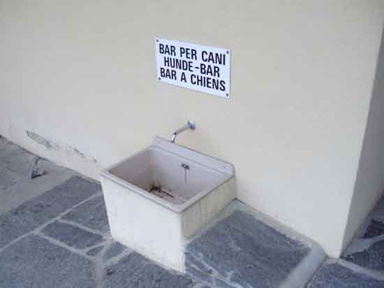 IMGP2388