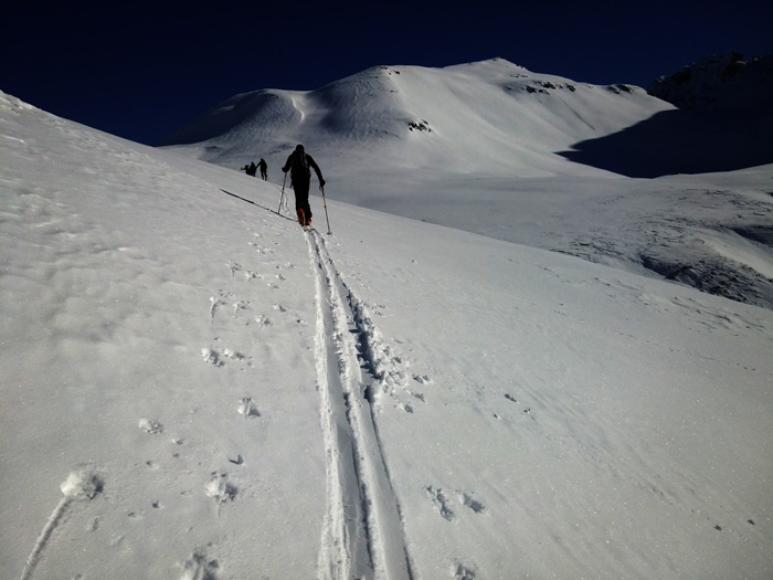 piz nolla sci alpinismo